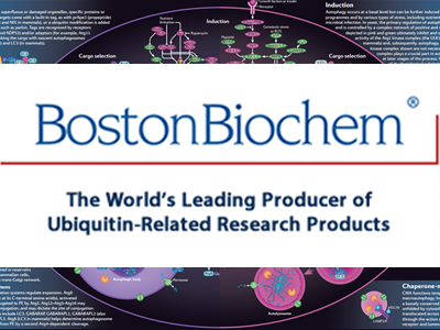 Boston Biochem